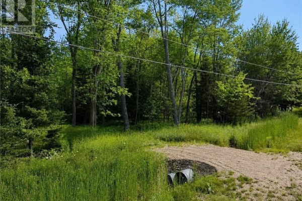 Lot 9 Fruchey Street, Kagawong, ON P0P1J0 Photo 4