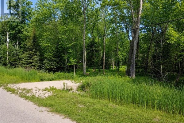 Lot 9 Fruchey Street, Kagawong, ON P0P1J0 Photo 5
