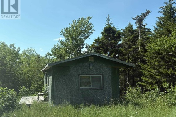 Open grassy area with a small green building and surrounding trees. - Lot 9 Longley Mountain Road, Youngs Cove