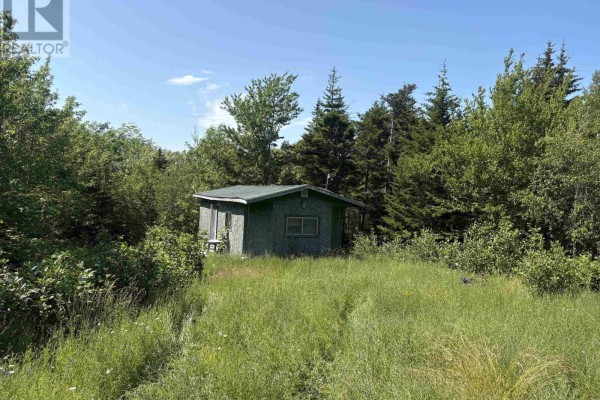 Interior of a rustic cabin with wood-paneled walls and simple furnishings. - Lot 9 Longley Mountain Road, Youngs Cove
