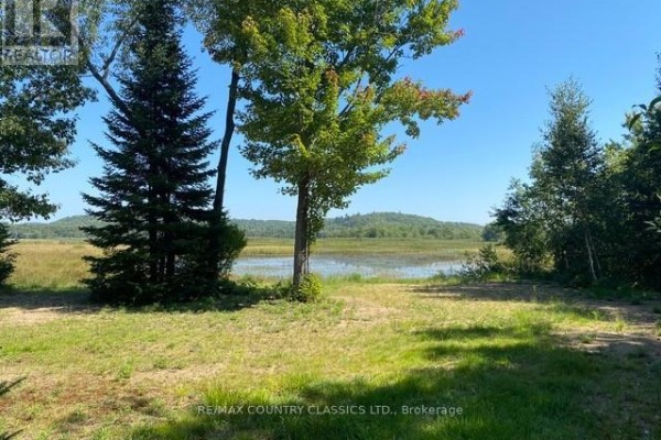 Grassy area facing a calm body of water and distant tree-covered hills. - Lot 9 Lower Craigmont Road, Madawaska Valley