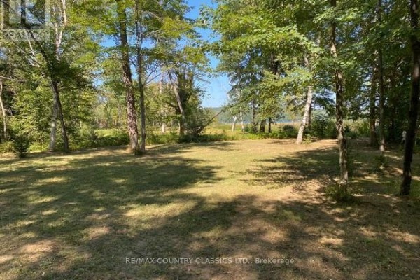 Wooded lot with a cleared area, dappled sunlight, and a distant view of water. - Lot 9 Lower Craigmont Road, Madawaska Valley