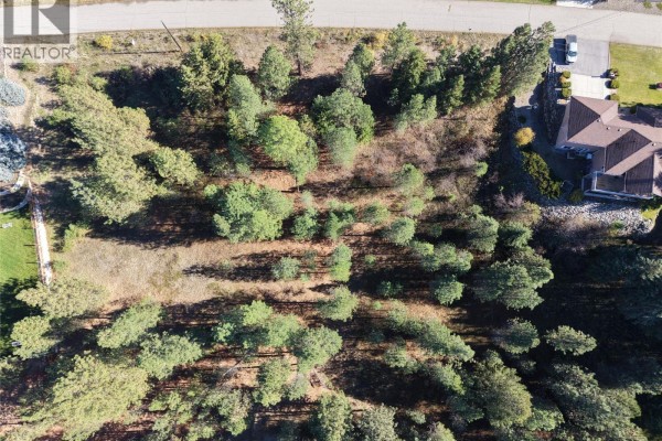 Lot 9 Prospect Drive, Grand Forks, BC V0H1H2 Photo 4