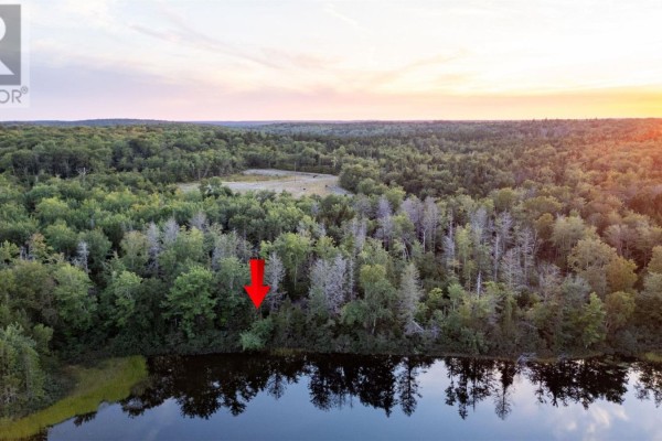 Lot 9 R & N Road, Carleton, NS B5A5R2 Photo 5