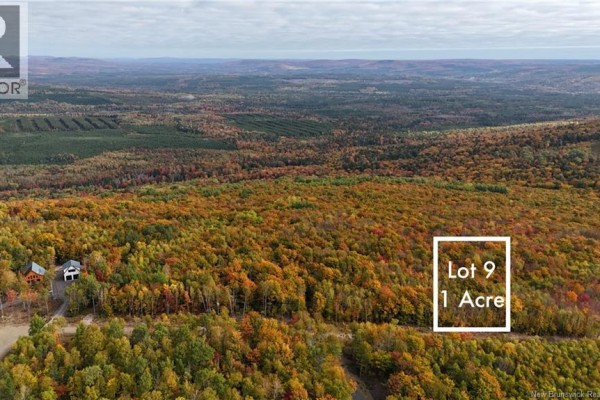Aerial view showing Lot 9, one acre, with a neighboring house and expansive forested landscape. - Lot 9 Raven Ridge Road, Central Hainesville