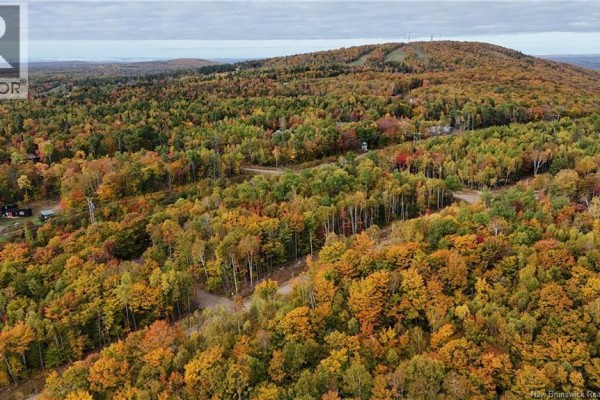 Overhead view of Lot 9 area nestled within rolling hills covered in autumn trees. - Lot 9 Raven Ridge Road, Central Hainesville