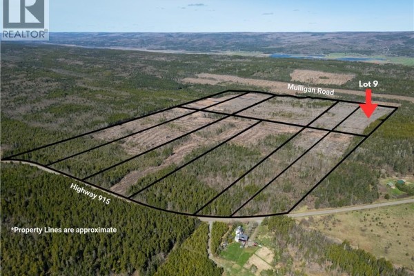 Lot 9 Route 915, Upper New Horton, NB E4H3T4 Photo 4