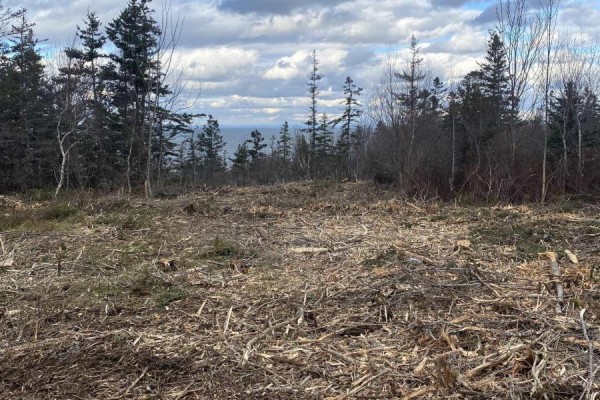 Lot 9 Shore Road West, Phinneys Cove, NS B0S1L0 Photo 4