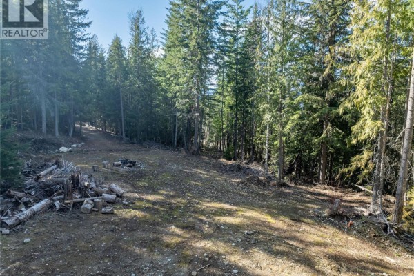 Lot 9 Tulip Crescent, Eagle Bay, BC V0E1T0 Photo 4