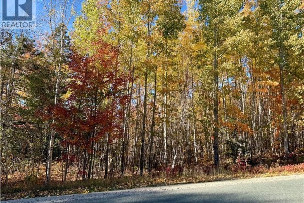 Lot 96-1 Hilltop Road, Hilltop, NB E9E1R9 Photo 2