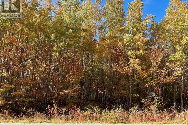 Lot 96-1 Hilltop Road, Hilltop, NB E9E1R9 Photo 3