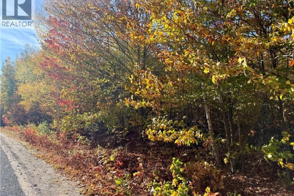 Lot 96-1 Hilltop Road, Hilltop, NB E9E1R9 Photo 4