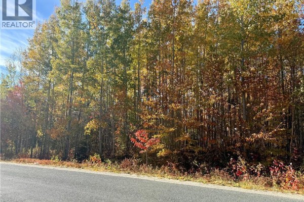 Lot 96-1 Hilltop Road, Hilltop, NB E9E1R9 Photo 5