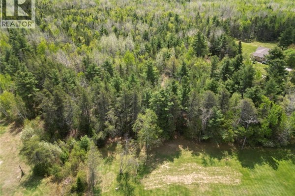 Lot 97-1 Des Pins, Saint Charles, NB E4W4M1 Photo 2