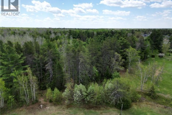 Lot 97-1 Des Pins, Saint Charles, NB E4W4M1 Photo 5