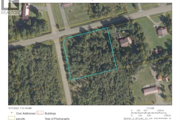 Close-up aerial view of Lot 98-1 Ash Street, a treed property bordered by roads and neighbouring houses. - Lot 98-1 Ash Street, Lower Woodstock