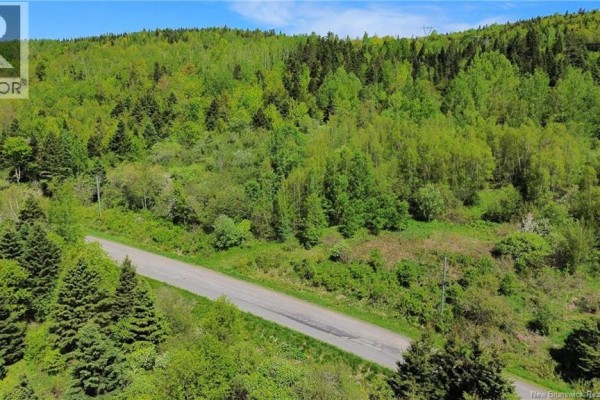 A paved road winds through a lush, green forest with rolling hills in the background. - Lot 98-1 Mainstream Road, Mainstream