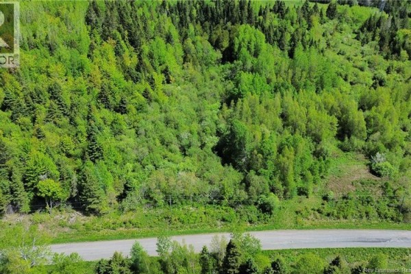 Overhead view of a dense forest with a cleared section and a road at the bottom. - Lot 98-1 Mainstream Road, Mainstream