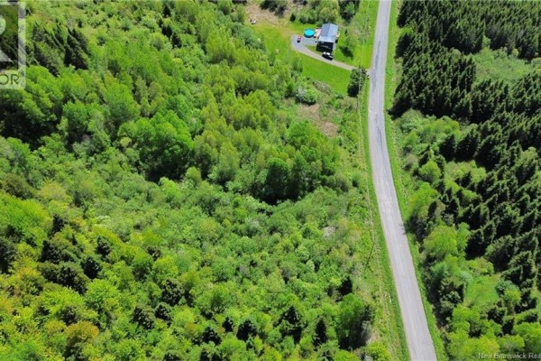 Aerial drone shot of a secluded property with a road leading to a house surrounded by trees. - Lot 98-1 Mainstream Road, Mainstream