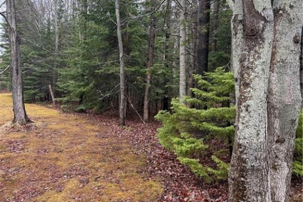 Lot 98-2 Dundas Road, Grande Digue, NB, photo 2