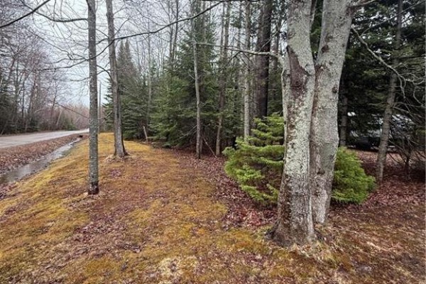 Lot 98-2 Dundas Road, Grande Digue, NB, photo 3