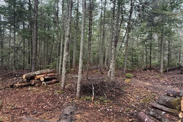 Lot 98-2 Dundas Road, Grande Digue, NB E4R4L5 Photo 5
