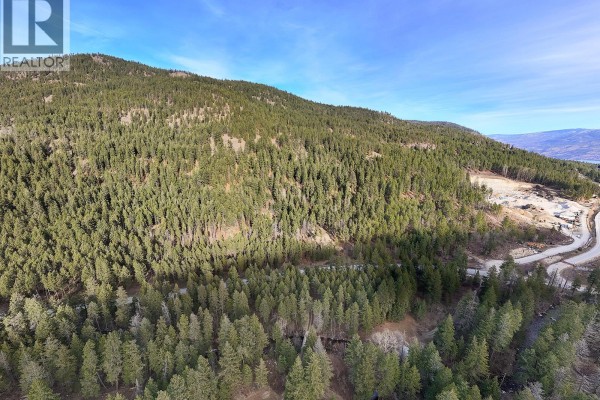Lot A & B Trepanier Road, Peachland, BC V0H1X3 Photo 4