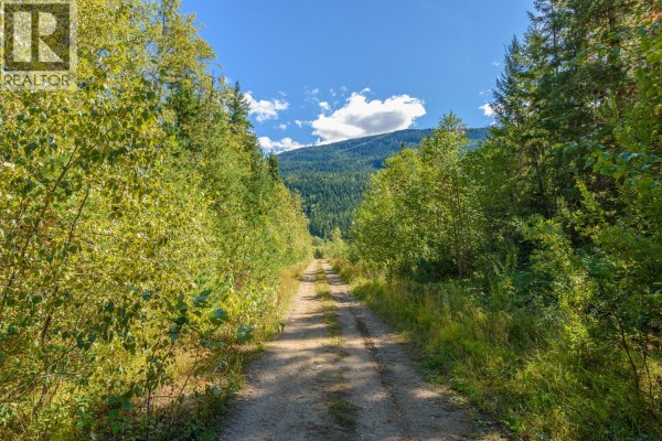 Lot A & Lot 6 Anstey Arm, Sicamous, BC V0E2V0 Photo 3