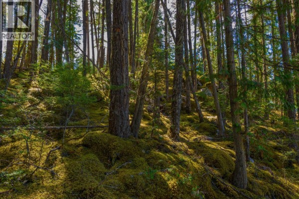 Lot A & Lot 6 Anstey Arm, Sicamous, BC V0E2V0 Photo 4