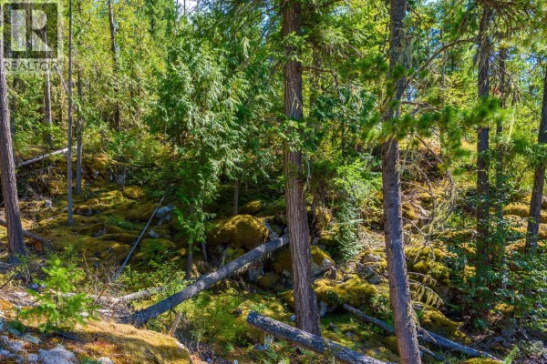 Lot A & Lot 6 Anstey Arm, Sicamous, BC V0E2V0 Photo 5