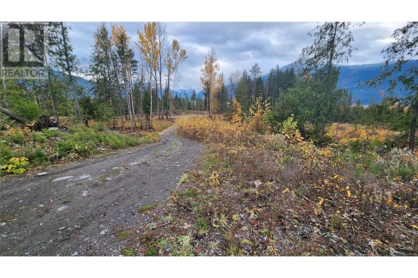 Lot A 23 Highway, Nakusp, BC, photo 2