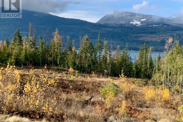 Lot A 23 Highway, Nakusp, BC, photo 3