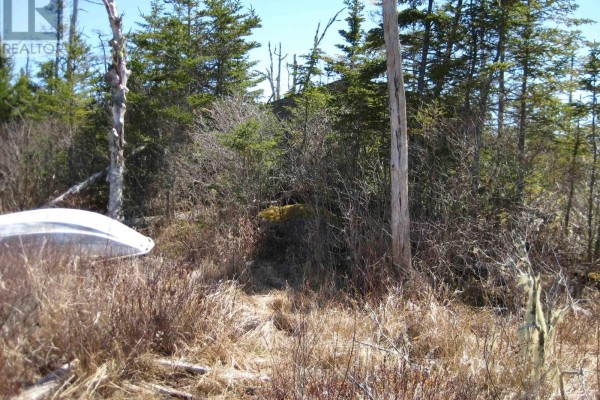 Lot A-4 Newmans Pond, Tangier, NS B0J3H0 Photo 3