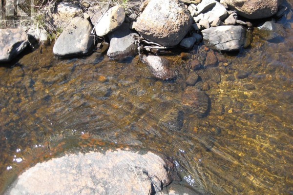 Lot A-4 Newmans Pond, Tangier, NS B0J3H0 Photo 4