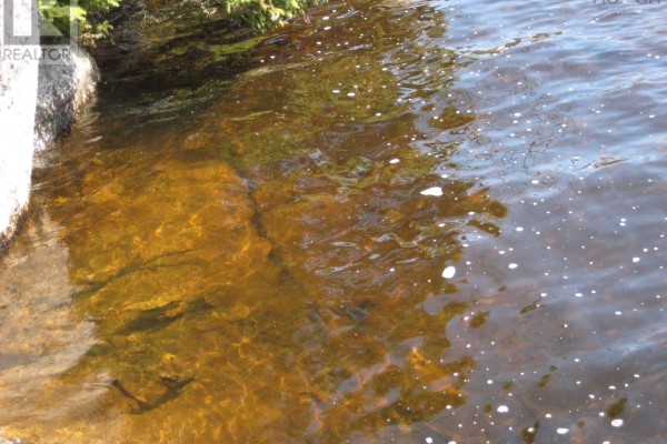 Lot A-4 Newmans Pond, Tangier, NS B0J3H0 Photo 5
