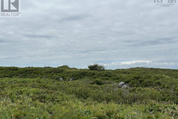 Lot A Baccaro Road, West Baccaro, NS B0W1T0 Photo 3