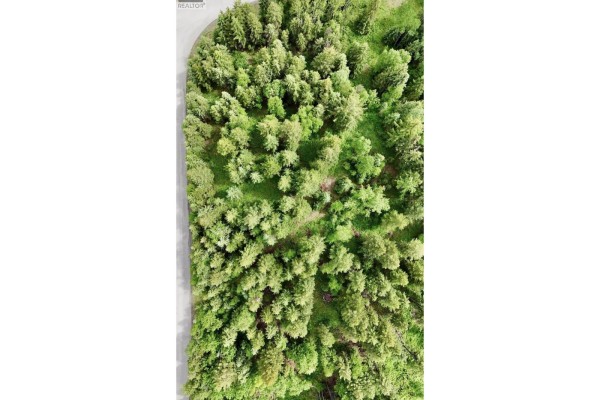 Lot A Big Lake Road, Williams Lake, BC V0L1G0 Photo 2