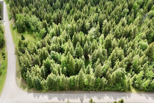 Lot A Big Lake Road, Williams Lake, BC V0L1G0 Photo 3