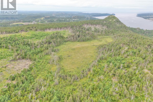 Lot A Butlers Road, Holyrood, NL A0A2R0 Photo 4
