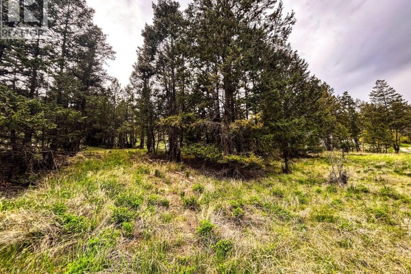 Lot A Columbia Lake Road, Fairmont Hot Springs, BC V0B1L2 Photo 5