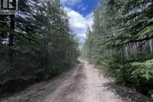 Lot A Dl 5084 Airport Road, Fraser Lake, BC V0J1S0 Photo 5