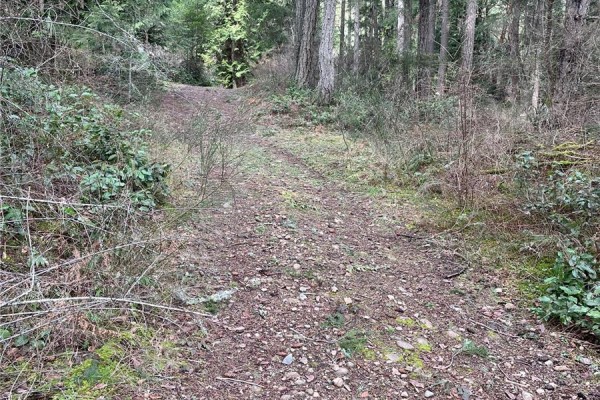 Lot A Ebadora Lane, Malahat, BC V0R2L0 Photo 3