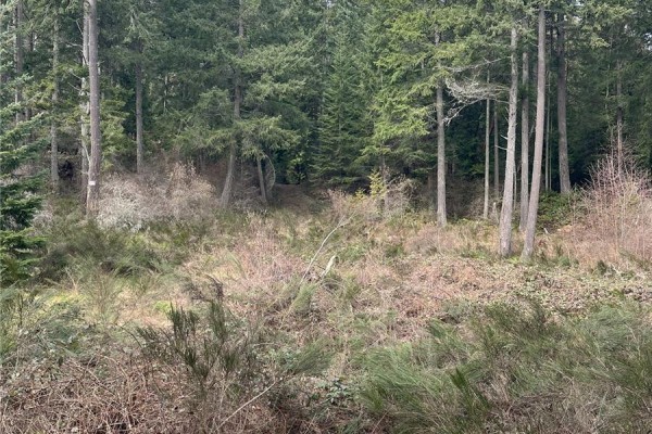 Lot A Ebadora Lane, Malahat, BC V0R2L0 Photo 5