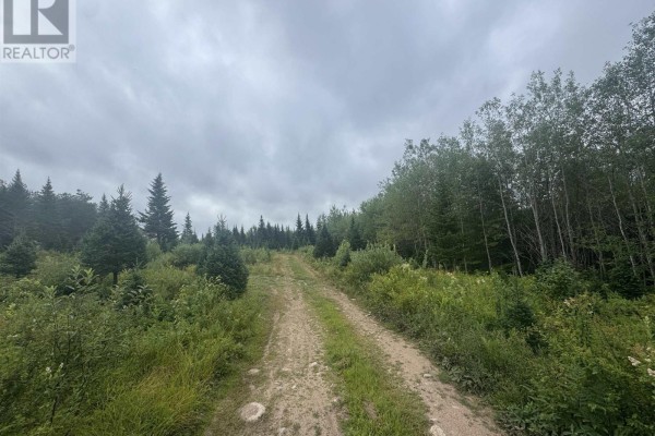 Lot A Hardwood Lake Road, Lake Paul, NS, photo 3