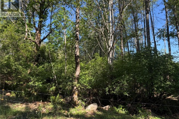 Dense green foliage and tall trees bordering a property line with a wire fence and large rocks. - Lot A Frances Rd, Merville