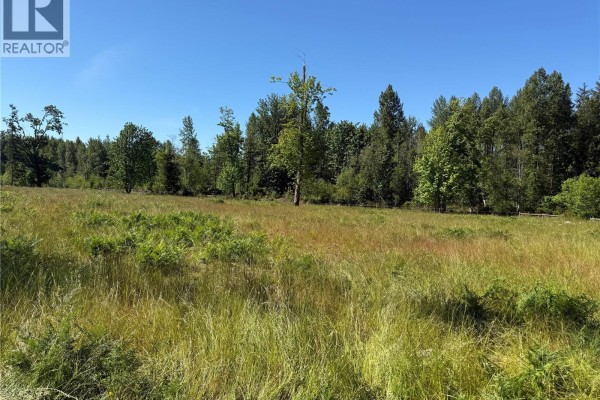 Wide view of a sunlit meadow with tall grasses and wildflowers, bordered by a treeline. - Lot A Frances Rd, Merville