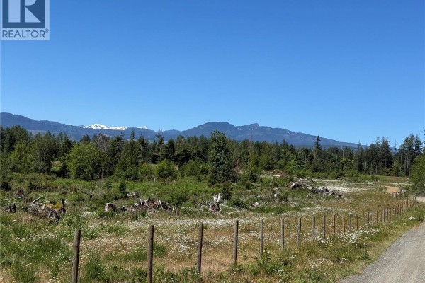 Distant snow-capped mountains visible beyond a treeline and a partially cleared field with a fence. - Lot A Frances Rd, Merville