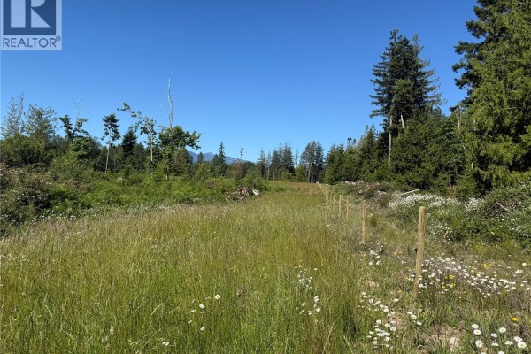Grassy clearing with wildflowers, surrounded by trees, with wooden posts marking a boundary line. - Lot A Frances Rd, Merville