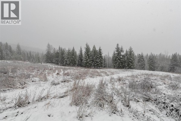 Lot A Meadow Creek Road Lot# Epp 14822, Meadow Creek, BC V0G1N0 Photo 4