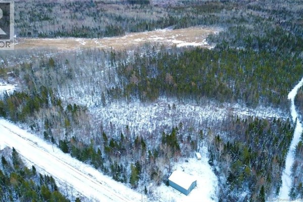 Lot A Saint Pierre, Rogersville, NB E4Y1L5 Photo 5